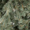Božićno drvce FULL 3D ledena smreka, detalji iglica