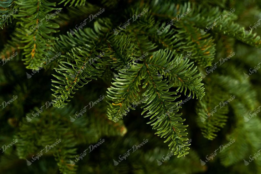 Umjetno božićno drvce 3D Kavkaska Jela, detalji iglica