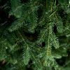 Umjetno božićno drvce 3D planinska smreka, detalji iglica