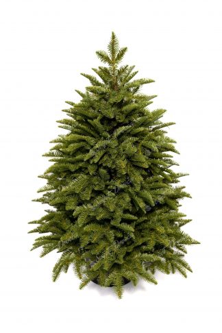 Umjetno božićno drvce u saksiji FULL 3D Mini jela. FULL 3D Mini Jela u saksiji ekskluzivno je drvo napravljeno samo od 3D iglica realističnog izgleda. Drvo karakterizira velik broj 3D grančica, zahvaljujući kojima drvo izgleda vrlo gusto. Drvo je postavljeno u modernu saksiju, koja osigurava njegov izvorni izgled.