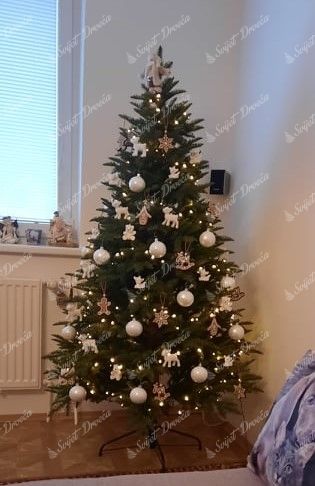 Božićno drvce FULL 3D Kavkaska Jela 180cm
