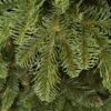 Umjetno božićno drvce 3D Kavkaska Jela XL, detalji iglica