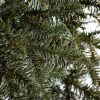 Umjetno božićno drvce FULL 3D Normadska Jela, detalji iglica