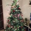 3D božićno drvce srebrnkasta jela 210 cm