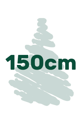 výška vianočných stromčekov 150cm ikona