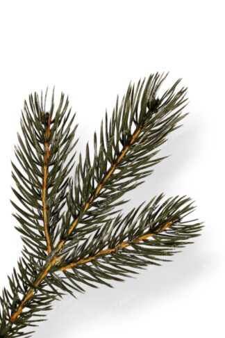 Umjetno božićno drvce 3D Himalajski Bor XL-detalj