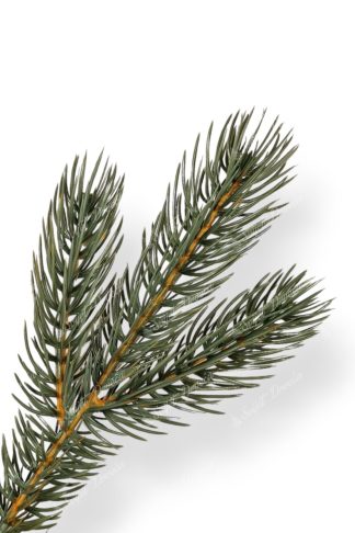 Umjetno božićno drvce 3D Srebrni Bor-detalj