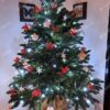 Božićno drvce u saksiji 3D Šarmantna Jela