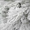 Umjetno božićno drvce 3D Arktička Smreka u saksiji, detalji iglica
