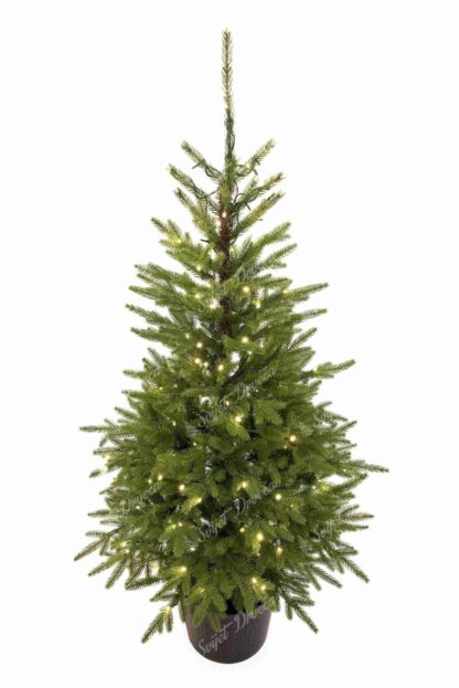 Božićno drvce u saksiji 3D Karpatska Smreka 150cm 150LED