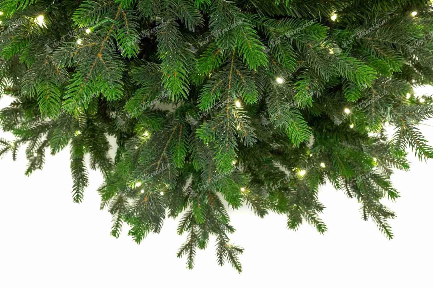 Detail vianočného stromčeka 3D Smrek Taliansky, konce vetvičiek sú svetlozelenej farby