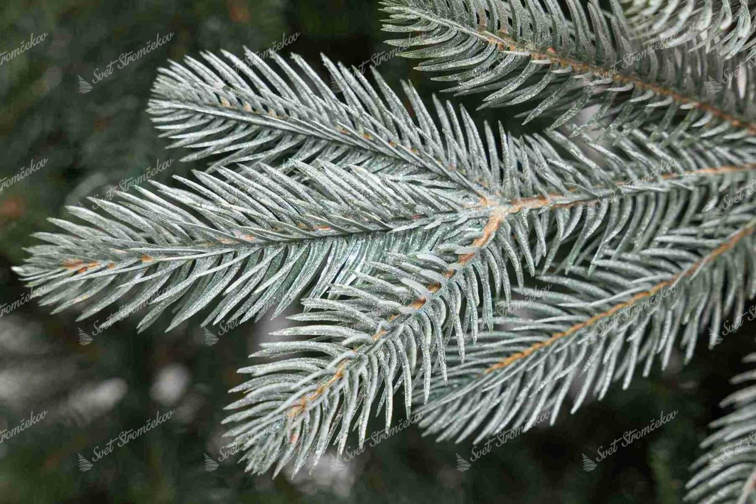 Umelý vianočný stromček FULL 3D Smrek Vznešený