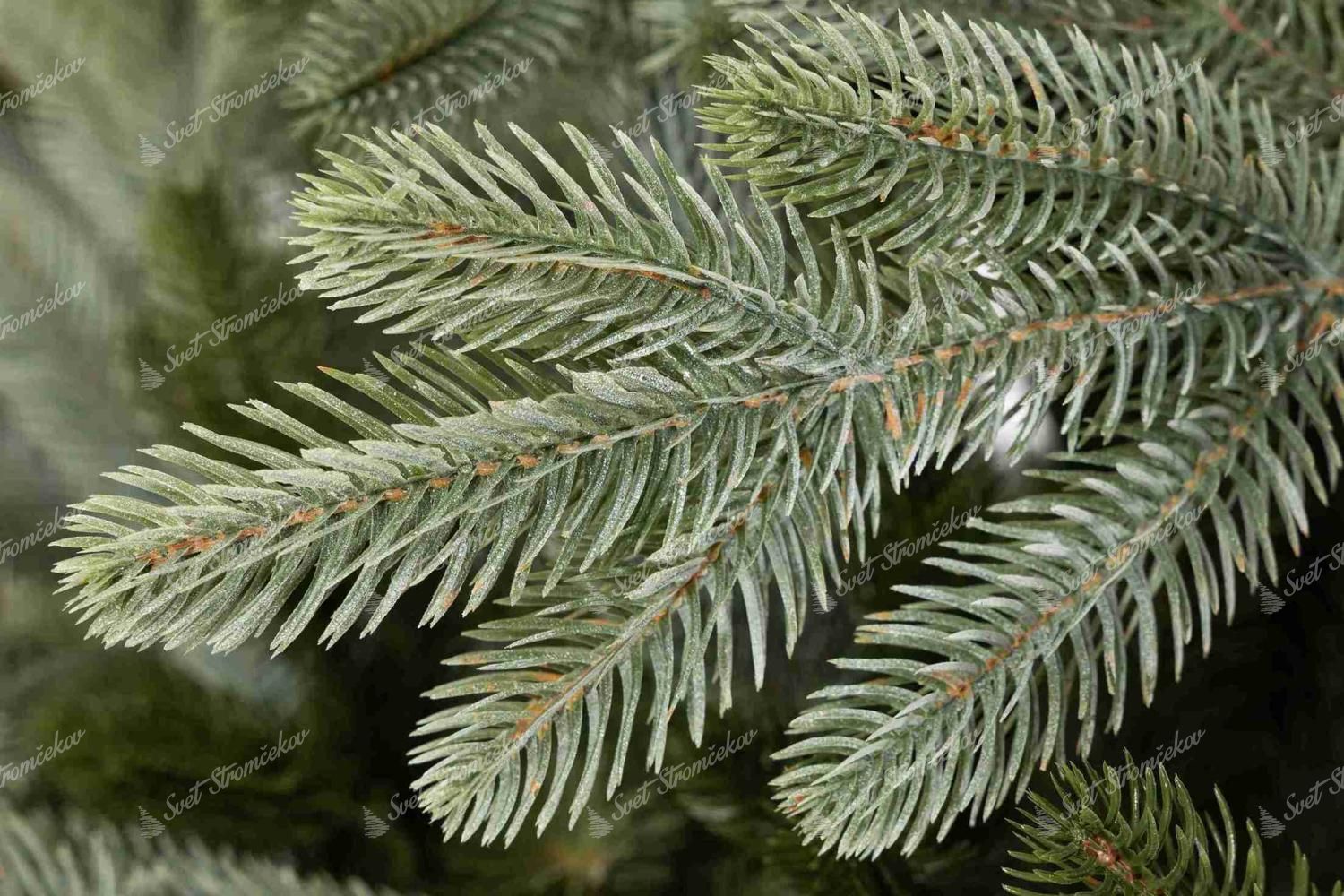 Umjetno božićno drvce 3D Uzvišena Smreka Svijetla 210cm