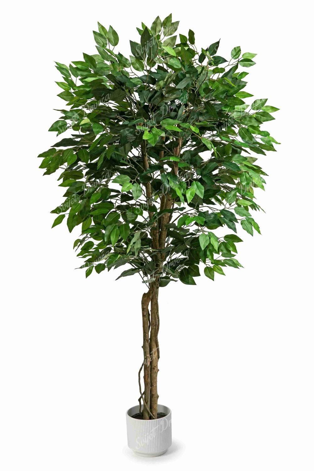 Umjetna biljka Fikus 150cm