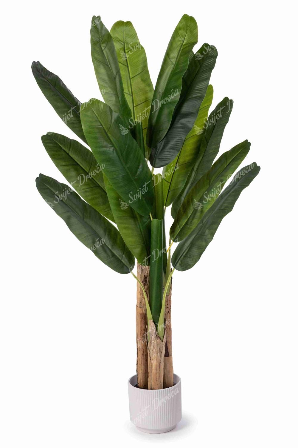 Umjetna biljka Stablo banane 150cm